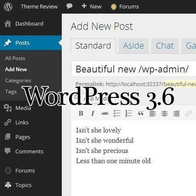 WordPress 3.6