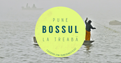 Pune Bossul la treaba
