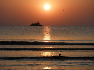 La Mare