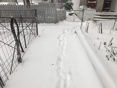 Galati deszapezit bine