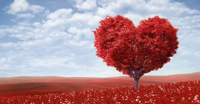 Idei Cadouri Valentines Day