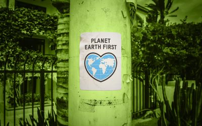 Companii romanesti eco friendly firme prietenoase cu mediul