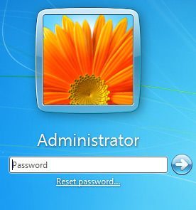 Windows Administrator