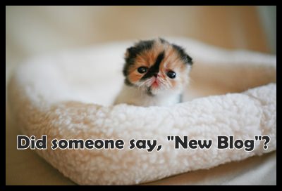 Am blog nou
