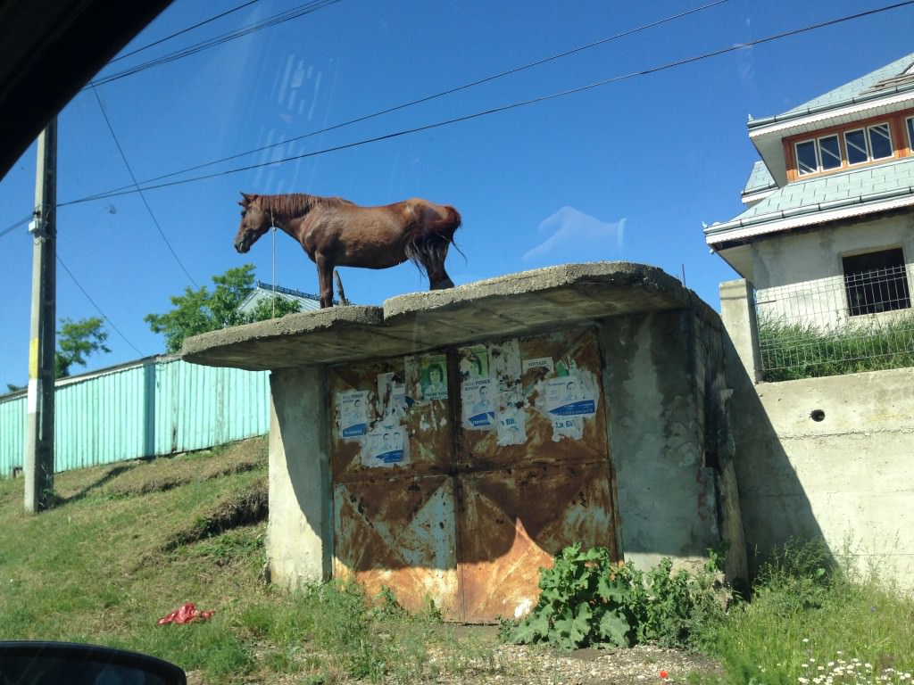 Galați Iași