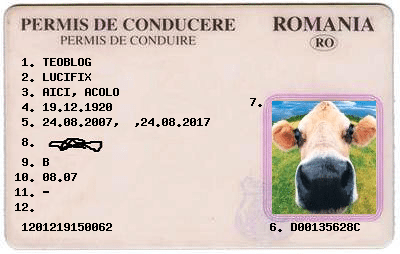 Cum sa-ti pierzi permisul de sarbatori