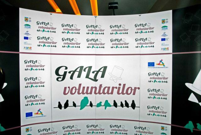 Gala Voluntarilor 2013