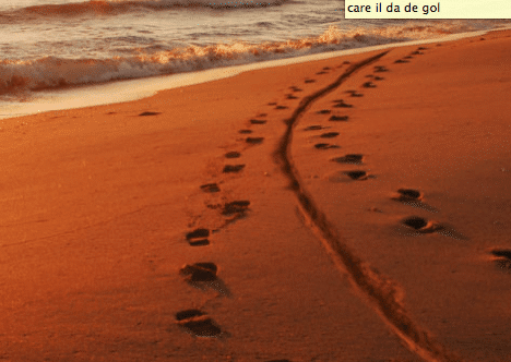 Cabral lasa urme