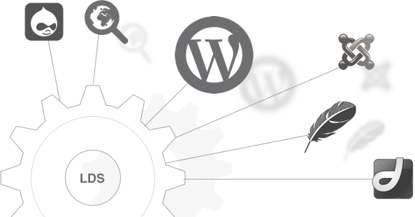 Clean Internet Marketing Services