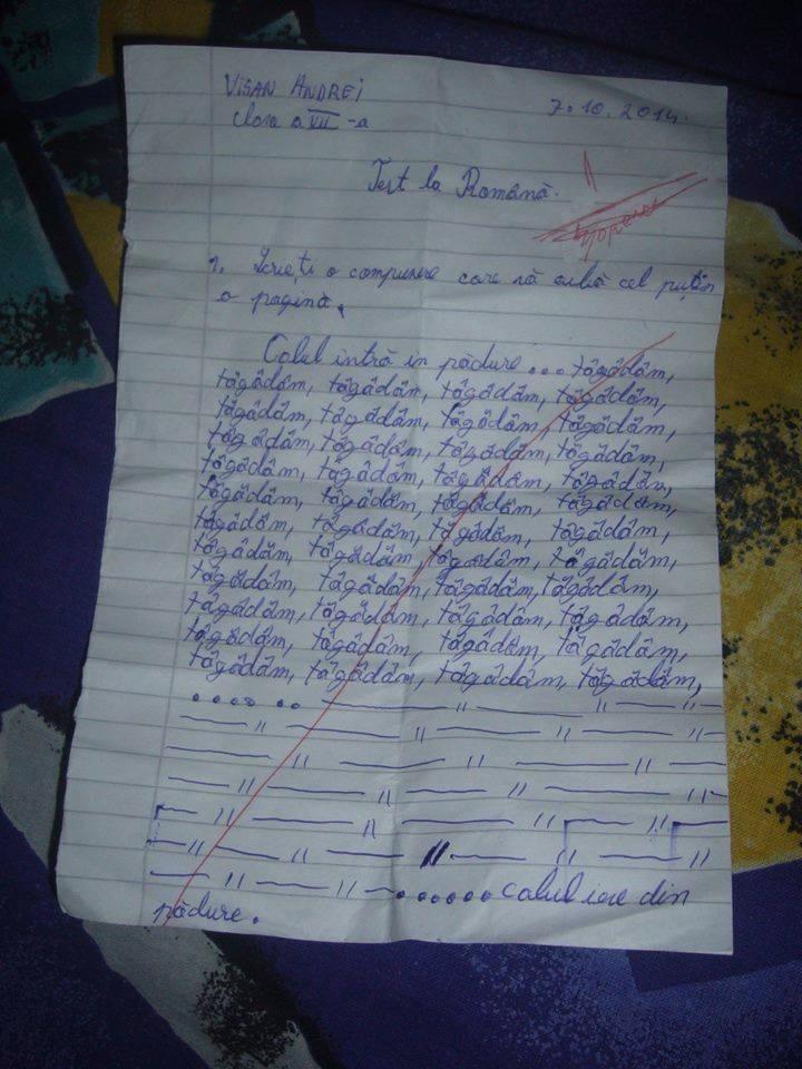 Calul intra in padure tagadam