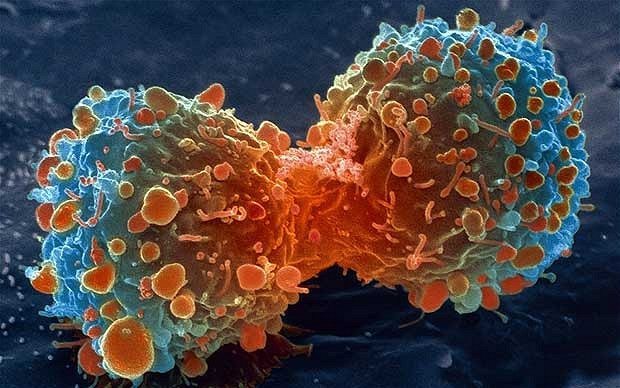 De ce unii oameni nu se imbolnavesc de cancer
