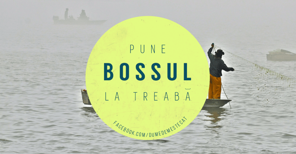 Pune Bossul la treaba