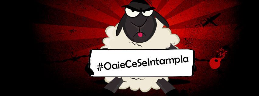 Oaie Ce Se Intampla