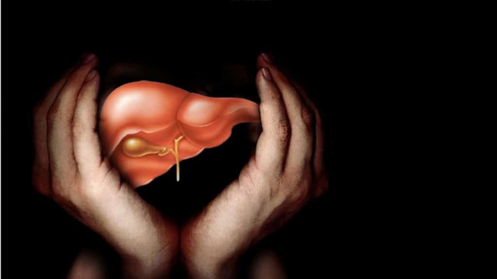 Hepatoprotector