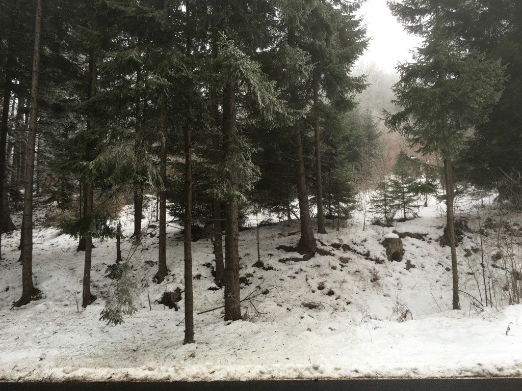Lepsa Ojdula 5