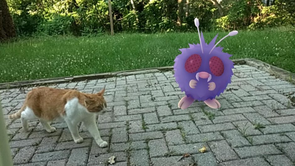 Pokemon langa pisica