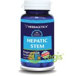 Hepatic Stem