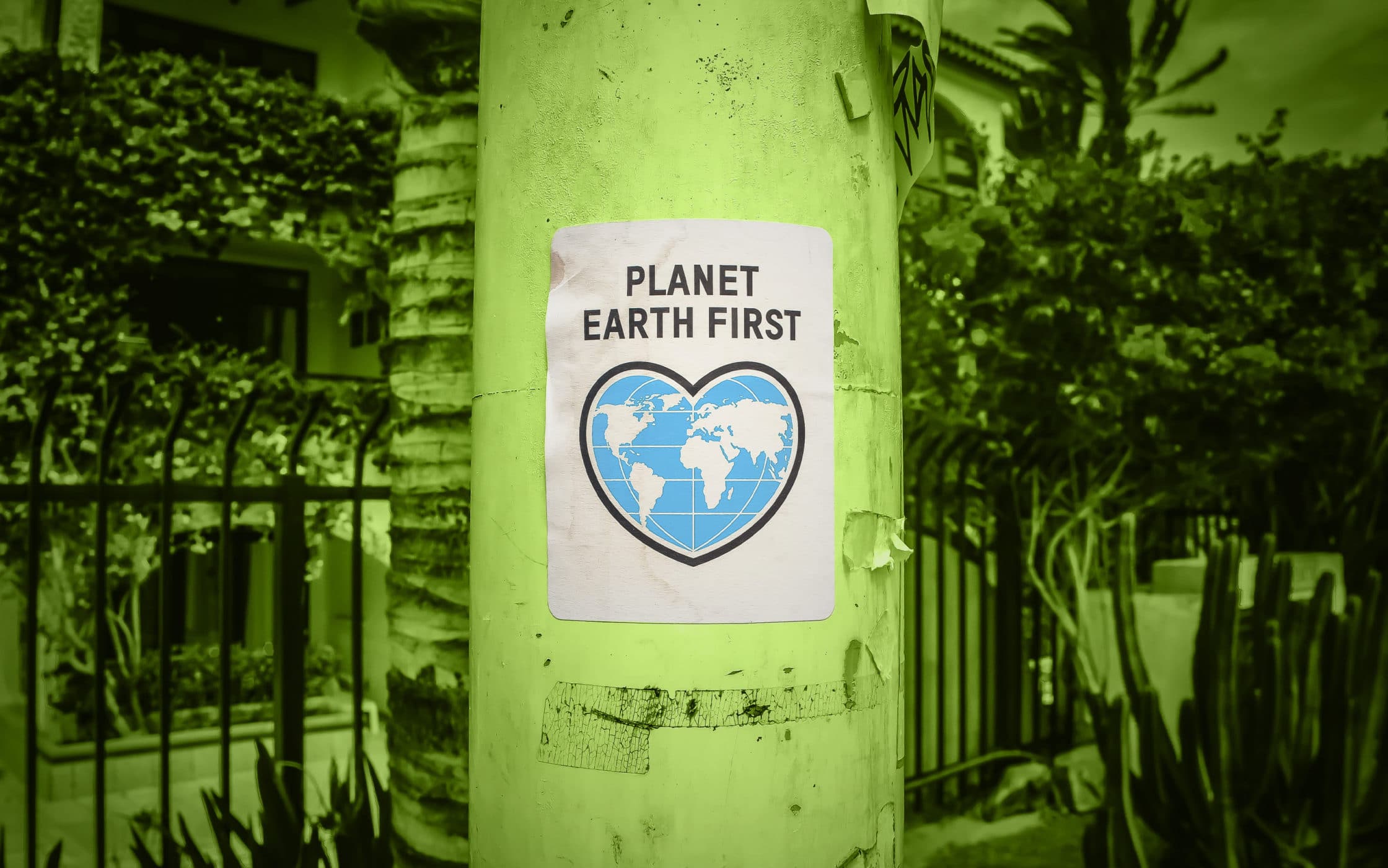 Companii romanesti eco friendly firme prietenoase cu mediul