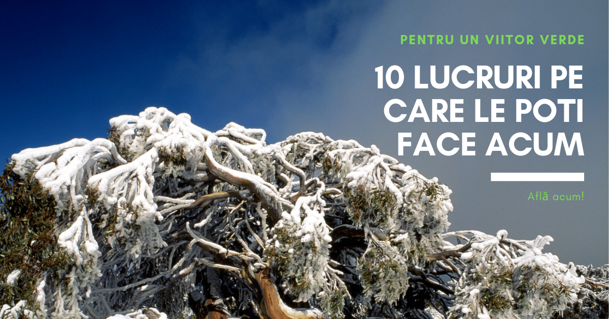 10 lucruri pentru un viitor verde