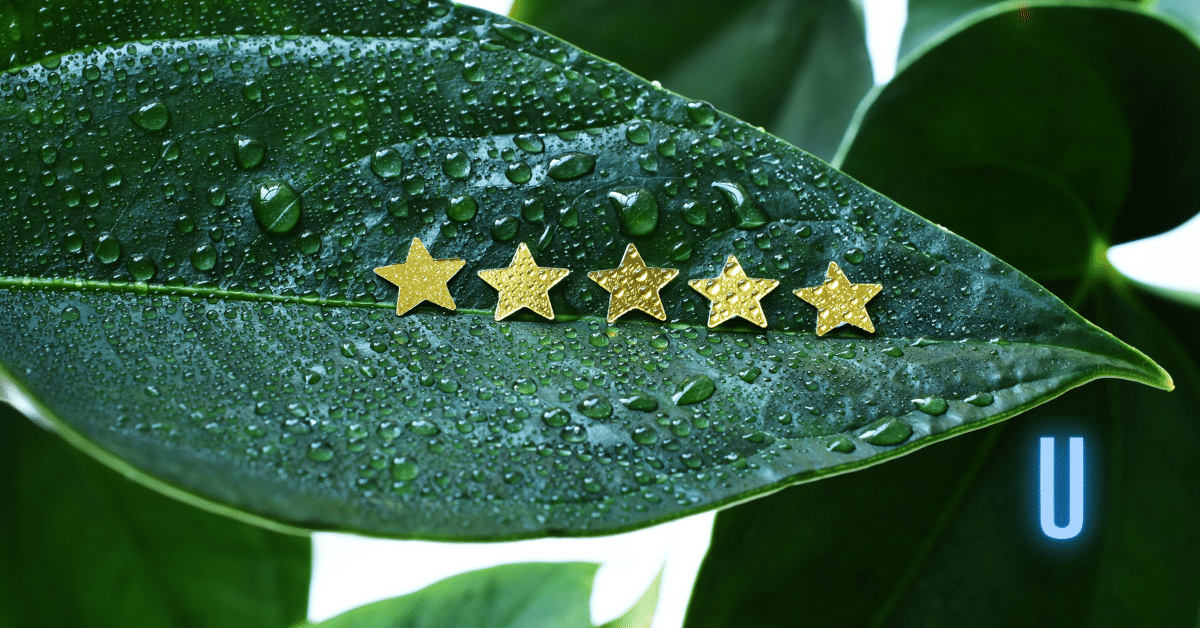 google review spam ce e de facut