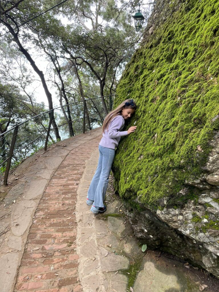 Parcul din Portofino