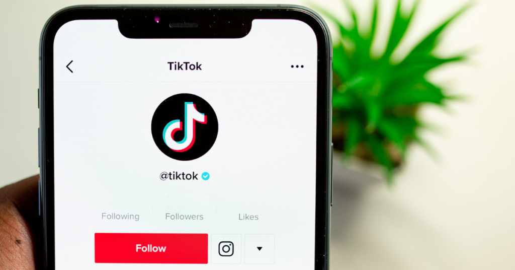 13 Bani online din TikTok