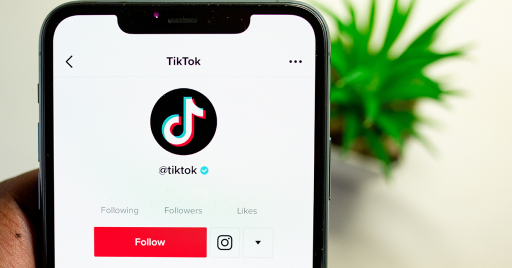 Legat de cumpărarea de followeri TikTok